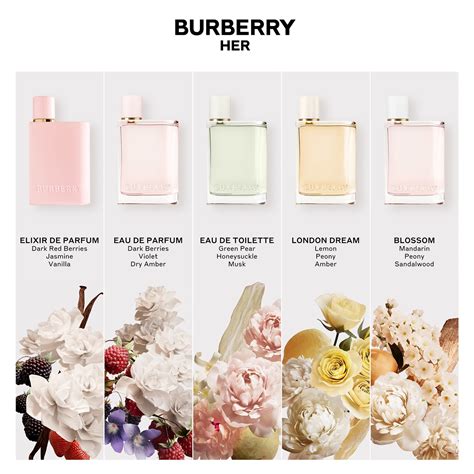 perfume burberry her feminino|where to buy Burberry hero.